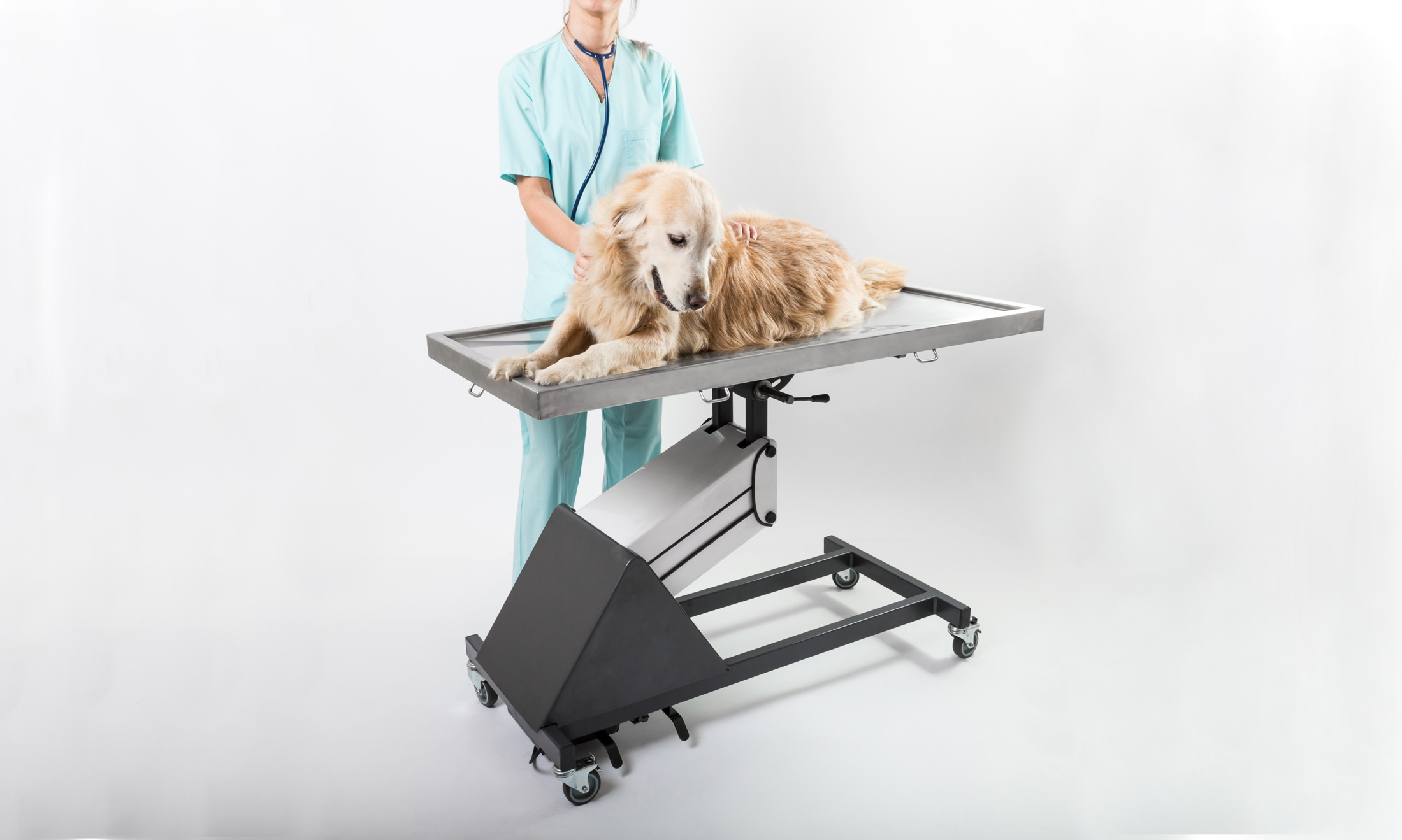 Mesa de cirugía y exploracion veterinaria